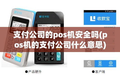 支付公司的pos机安全吗(pos机的支付公司什么意思)