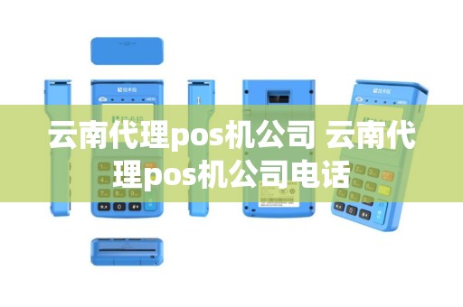 云南代理pos机公司 云南代理pos机公司电话