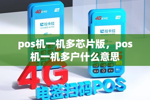 pos机一机多芯片版，pos机一机多户什么意思