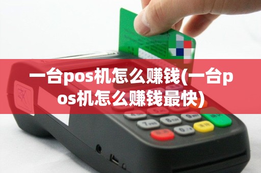 一台pos机怎么赚钱(一台pos机怎么赚钱最快)