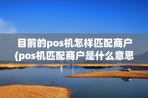 目前的pos机怎样匹配商户(pos机匹配商户是什么意思)
