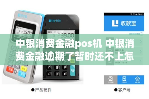 中银消费金融pos机 中银消费金融逾期了暂时还不上怎么办
