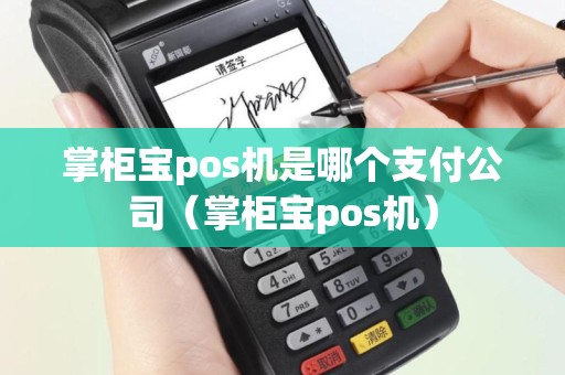 掌柜宝pos机是哪个支付公司（掌柜宝pos机）