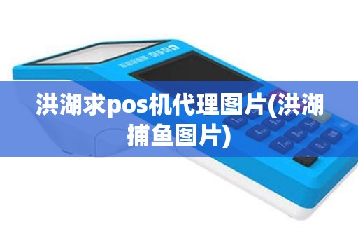 洪湖求pos机代理图片(洪湖捕鱼图片)