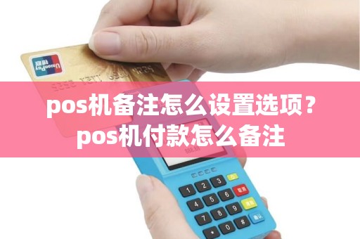 pos机备注怎么设置选项？pos机付款怎么备注
