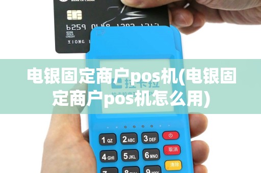 电银固定商户pos机(电银固定商户pos机怎么用)
