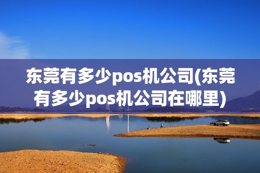 东莞有多少pos机公司(东莞有多少pos机公司在哪里)