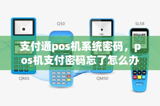 支付通pos机系统密码，pos机支付密码忘了怎么办
