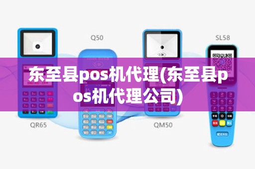 东至县pos机代理(东至县pos机代理公司)