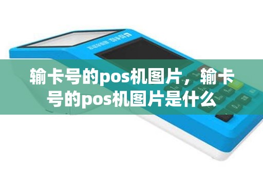 输卡号的pos机图片，输卡号的pos机图片是什么