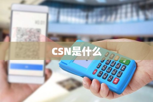 CSN是什么