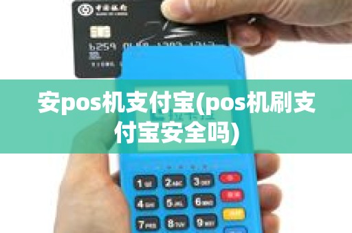 安pos机支付宝(pos机刷支付宝安全吗)