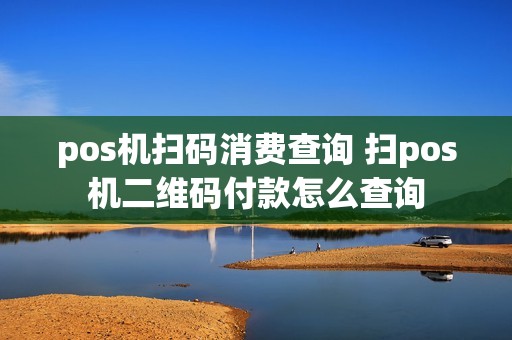 pos机扫码消费查询 扫pos机二维码付款怎么查询