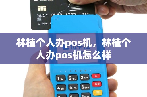 林桂个人办pos机，林桂个人办pos机怎么样