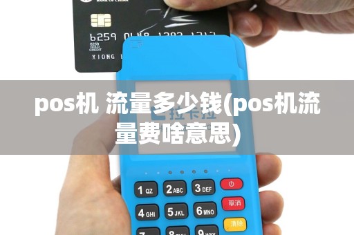 pos机 流量多少钱(pos机流量费啥意思)