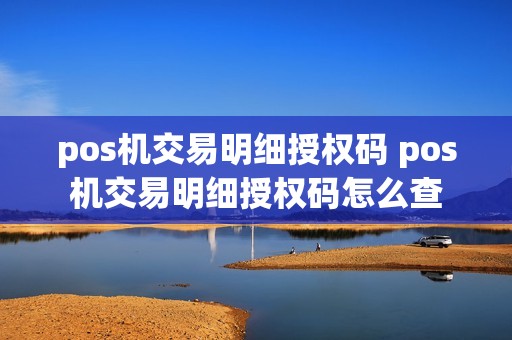 pos机交易明细授权码 pos机交易明细授权码怎么查