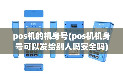 pos机的机身号(pos机机身号可以发给别人吗安全吗)