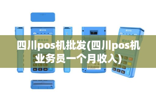 四川pos机批发(四川pos机业务员一个月收入)