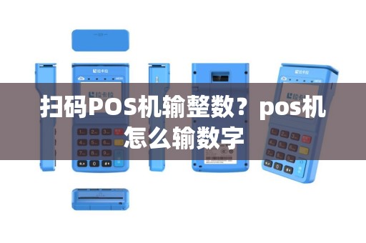 扫码POS机输整数？pos机怎么输数字