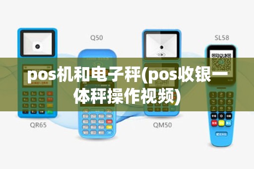 pos机和电子秤(pos收银一体秤操作视频)