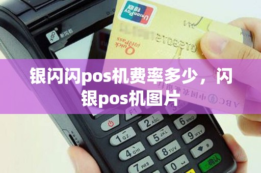 银闪闪pos机费率多少，闪银pos机图片
