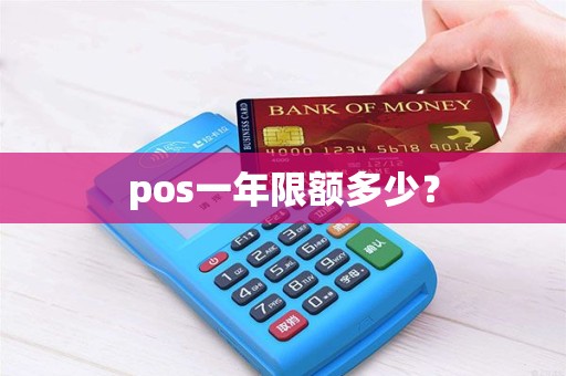 pos一年限额多少？