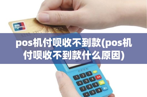 pos机付呗收不到款(pos机付呗收不到款什么原因)
