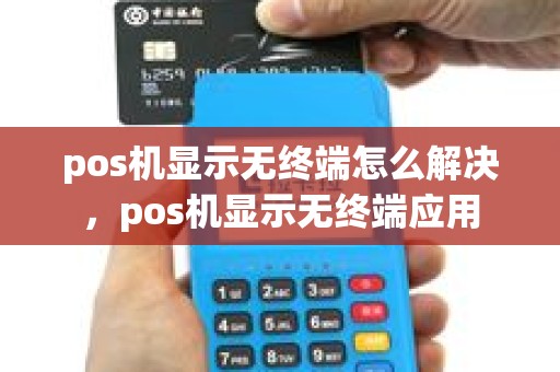 pos机显示无终端怎么解决，pos机显示无终端应用