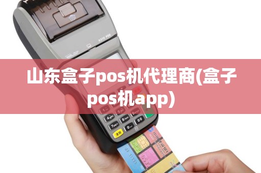 山东盒子pos机代理商(盒子pos机app)
