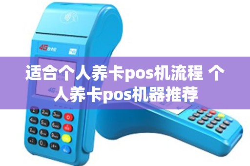适合个人养卡pos机流程 个人养卡pos机器推荐