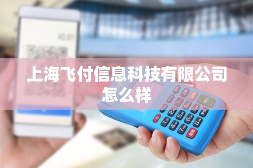 上海飞付信息科技有限公司怎么样