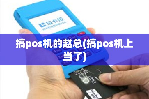 搞pos机的赵总(搞pos机上当了)