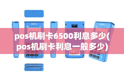 pos机刷卡6500利息多少(pos机刷卡利息一般多少)