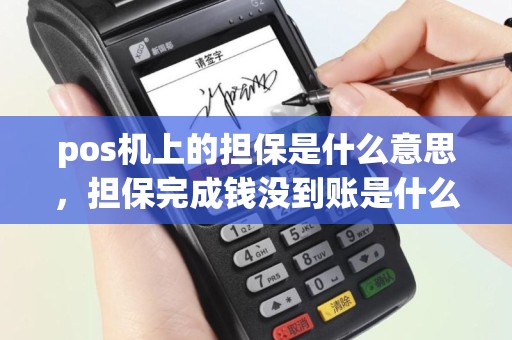 pos机上的担保是什么意思，担保完成钱没到账是什么情况？