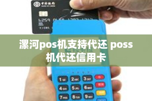 漯河pos机支持代还 poss机代还信用卡