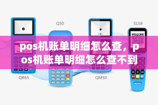 pos机账单明细怎么查，pos机账单明细怎么查不到