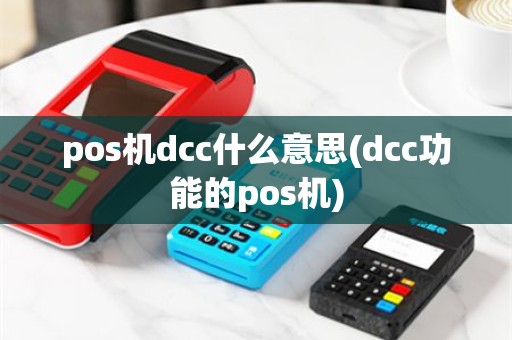 pos机dcc什么意思(dcc功能的pos机)