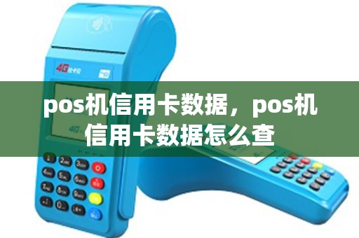 pos机信用卡数据，pos机信用卡数据怎么查