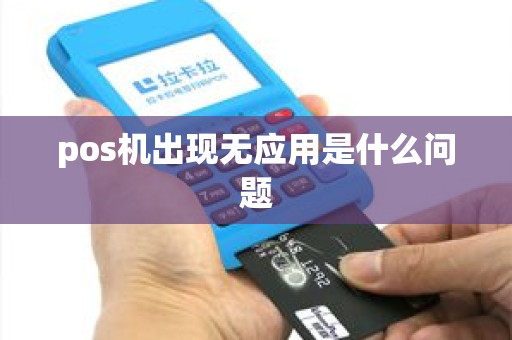 pos机出现无应用是什么问题