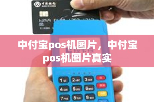 中付宝pos机图片，中付宝pos机图片真实