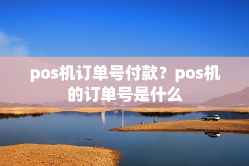 pos机订单号付款？pos机的订单号是什么