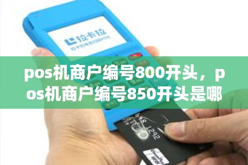 pos机商户编号800开头，pos机商户编号850开头是哪家公司