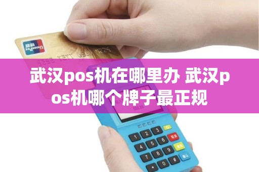 武汉pos机在哪里办 武汉pos机哪个牌子最正规