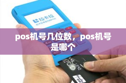 pos机号几位数，pos机号是哪个