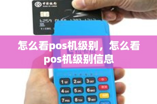 怎么看pos机级别，怎么看pos机级别信息
