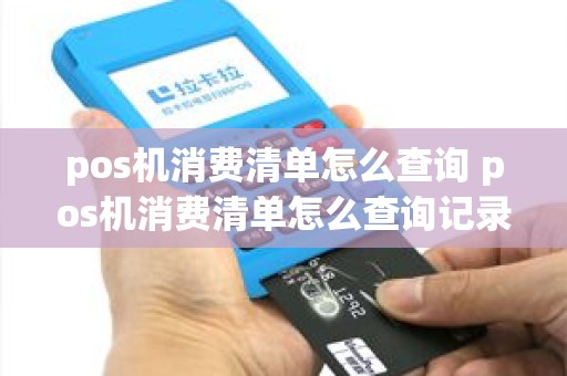 pos机消费清单怎么查询 pos机消费清单怎么查询记录