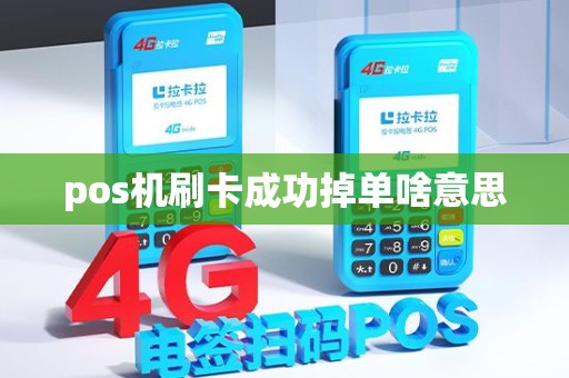 pos机刷卡成功掉单啥意思