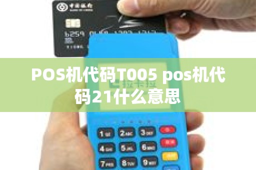 POS机代码T005 pos机代码21什么意思