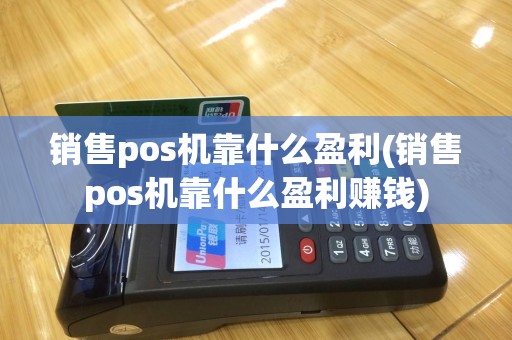 销售pos机靠什么盈利(销售pos机靠什么盈利赚钱)