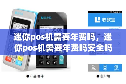 迷你pos机需要年费吗，迷你pos机需要年费吗安全吗